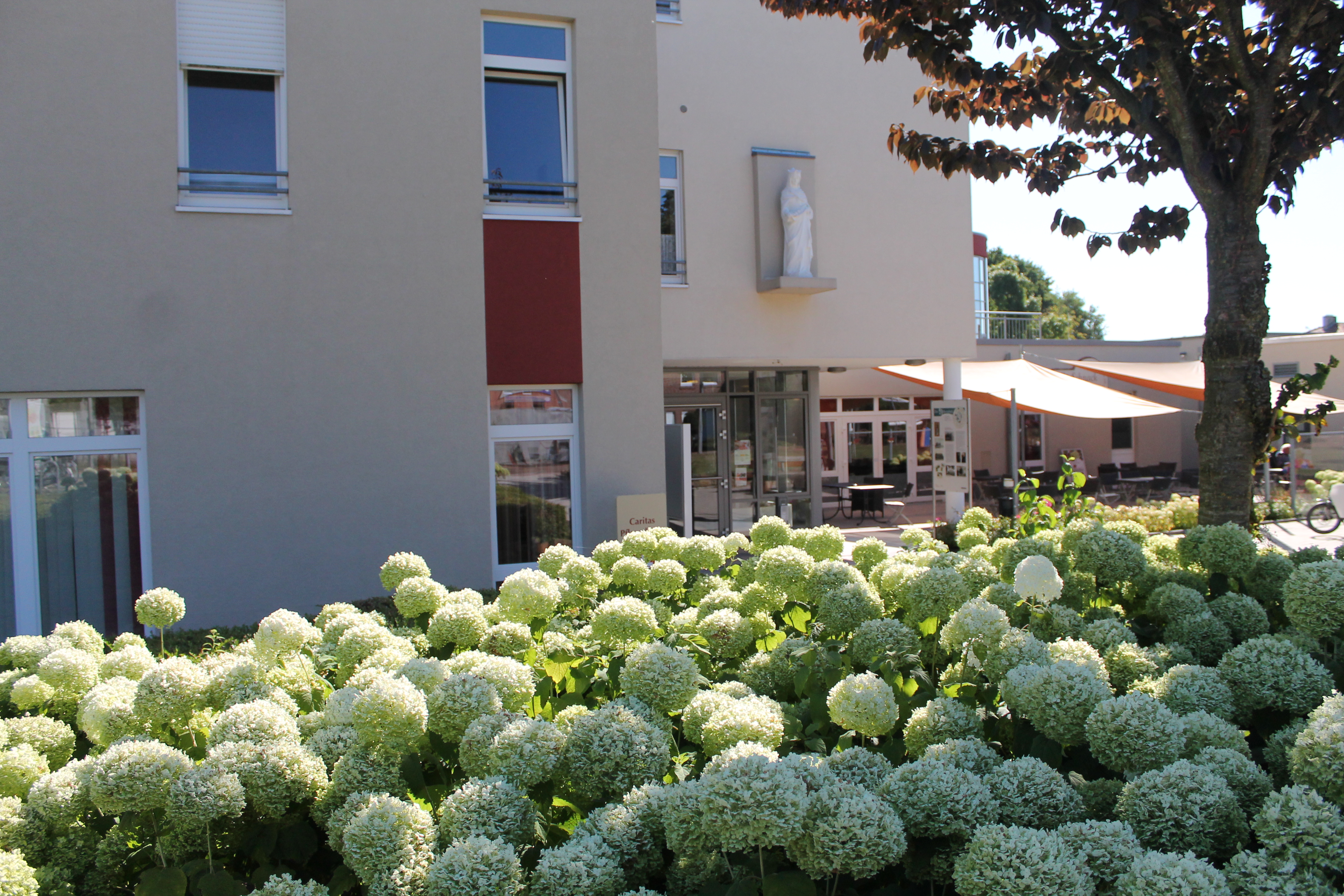 St. Elisabeth-Stift Neuenkirchen